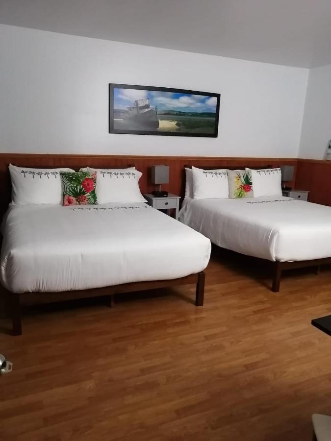 Hotel Fleurs Karaibes Saint-Alexandre-de-Kamouraska Dış mekan fotoğraf